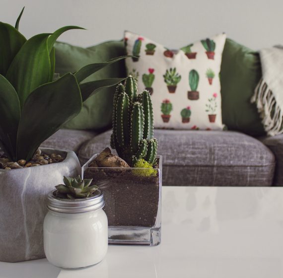 pexels-photo-1005058